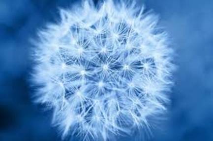 Access Consciousness Mindset Coaching