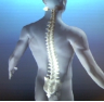 Nerve Method Nervous System Modulation